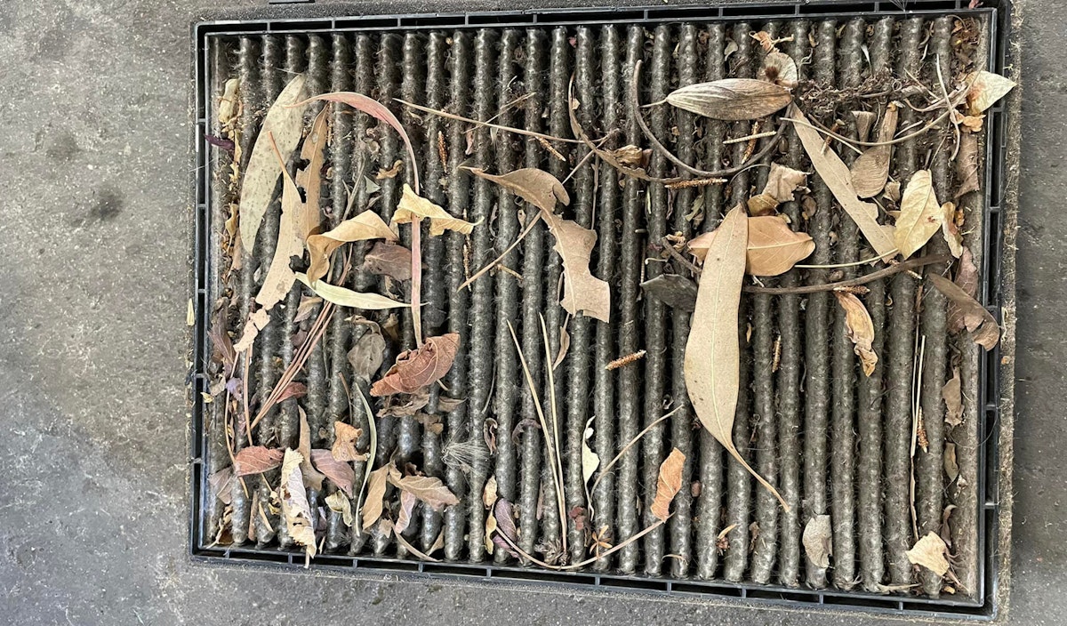 Cabin air filters can get quite dirty